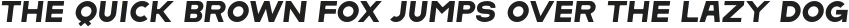Lorano Heavy Italic otf (800)