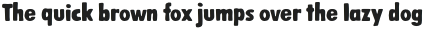 Mix Tumble Regular otf (400)