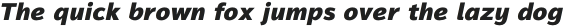 Magnum Sans Heavy Italic otf (800)