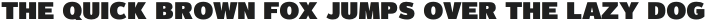 Magnum Sans Extra Black otf (900)
