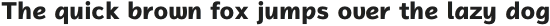 Magnum Sans Pro Alfa Extra Bold otf (700)