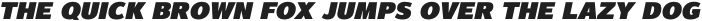 Magnum Sans Pro Extra Black Italic otf (900)