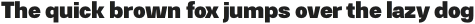 Gerlach Sans 800 otf (800)