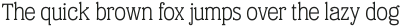 Eponymous Light otf (300)