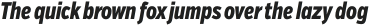 VerbComp Extrabold Italic otf (700)