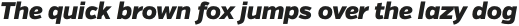 Verb Black Italic otf (900)