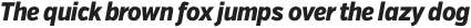 VerbExCond Extrabold Italic otf (700)