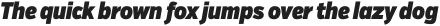 VerbExCond Ultra Italic otf (900)