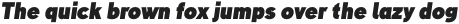 TT Corals Black Italic otf (900)
