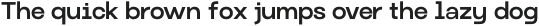 Monoglyphic Medium otf (500)