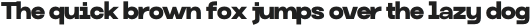 Monoglyphic Extra Bold otf (700)