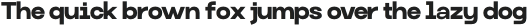 Monoglyphic Bold otf (700)