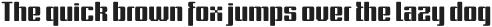 Formetic Light Oblique otf (300) Sample