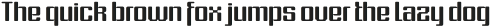 Formetic Oblique otf (400) Sample