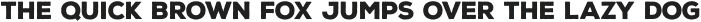Nexa Rust Sans Black otf (900)