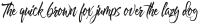Hayne Script Rough otf (400)