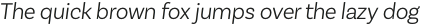 Basic Sans Alt Light It otf (300)