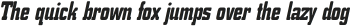 K.O. Activista* otf (400)