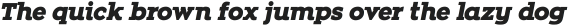 Zona Black Slab  Italic ttf (900)