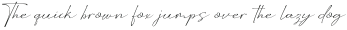 Wellyon Regular otf (400)