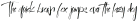 International Font otf (400)