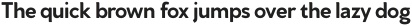 Venti CF Thin Oblique otf (100)