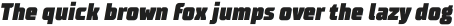 TT Supermolot Condensed Black Italic otf (900)