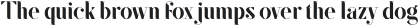 SF Kingston ttf (500)