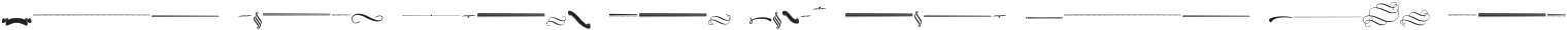 Voyage Ornaments Regular otf (400)