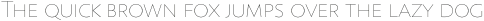 Assemblage Thin otf (100)