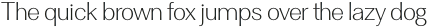 Clasica Sans Light otf (300)