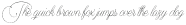 Encina Script 1 otf (400)
