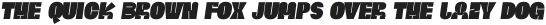 RIA BLACK ITALIC otf (900)