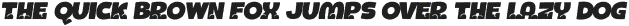 BOTOTO ROUGH ITALIC otf (400)