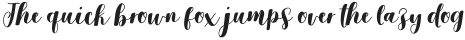 Salmela Script otf (400)
