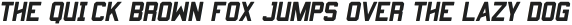 Predator 0316  - Sans Rounded Italic ttf (400)