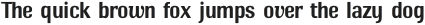 Ritts Light otf (300)
