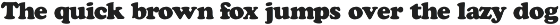 Cooper Black & Cooper Black Italic preview