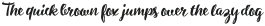 Inkheart Brush otf (400)