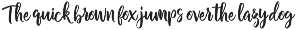 Chamelia Script font preview