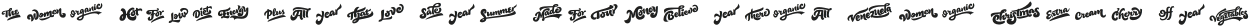 Nemocon Catchwords otf (400) Sample