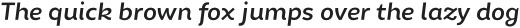 Chamfort Family Medium Italic otf (500)
