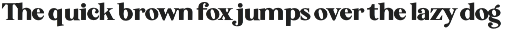 Backseat - Serif Typeface font preview