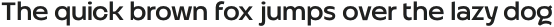 Altertypo Medium otf (500)