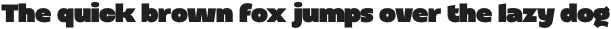 Altertypo Heavy otf (800)