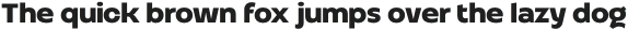 Altertypo Bold otf (700)
