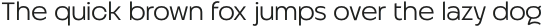 Altertypo Light otf (300)