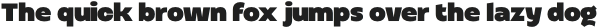 Altertypo Black otf (900)