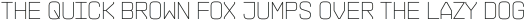 NEUMONOPOLAR  V01 Thin otf (100)