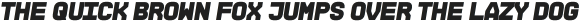 NEUMONOPOLAR  V01 Black Italic otf (900)